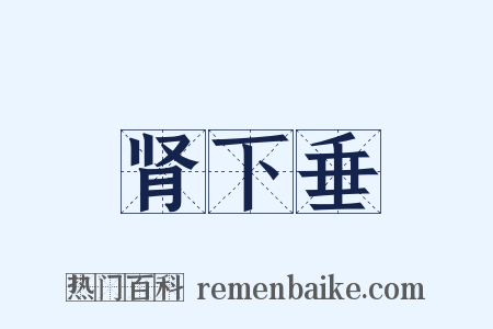 肾下垂是什么意思的图片